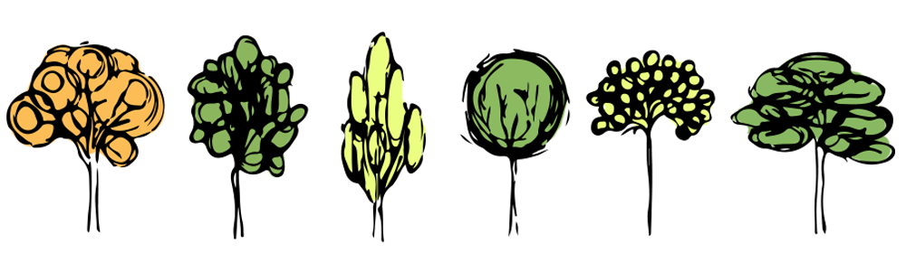 Manifesting Abundance